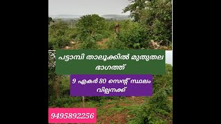 പട്ടാമ്പി താലൂക്കിൽ മുതുതല ഭാഗത്തു 9  ഏക്കർ 80 സെൻറ് സ്ഥലം വില്പനക്ക്LAND FOR SALE IN PATTAMBI TALUK