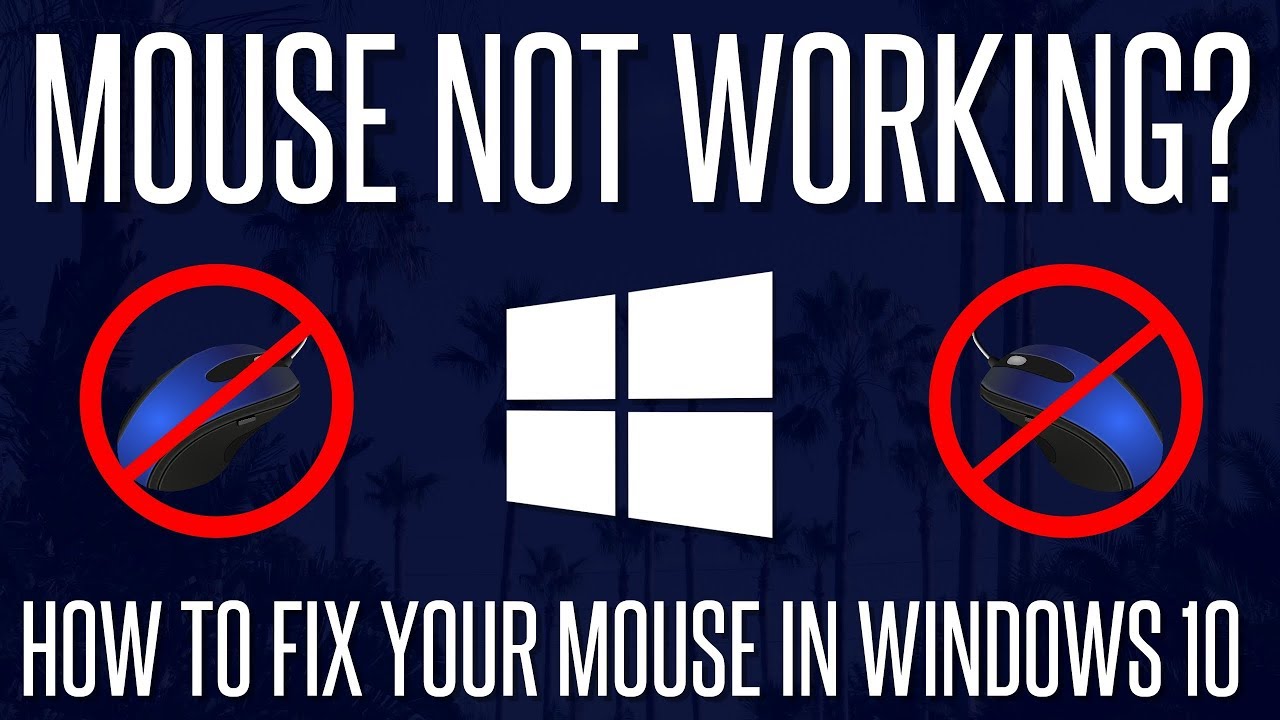 Mouse Not Working/Detected? - How To FIX Mouse Not Working In Windows ...