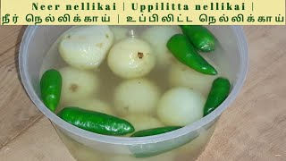 Salt gooseberry | neer nellikai | uppilitta nellikai | நீர் நெல்லிக்காய் | rombavey easyah pannalam