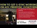 Nvidia 1080TI GPU Tested With AOC Freesync Monitor! Does it even work?