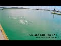 fcl labo ebi pop ext popper water test with elite tackle