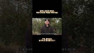 사과 잎이 하얗다고?? 특수한 농법의 비밀2 #강원도 #여름 #사과 #garden #사과농장