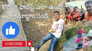 Coringa forest adventure with kids |కోరింగ ఫారెస్ట్ ఎలా ఉందో చూద్దాం రండి| #forest #koringa