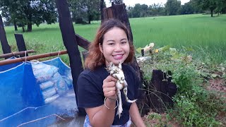 ໄປຢາມຕ້ອນ ໜານໆໄດ້ກົບ\u0026ไปดูต้อนหนานๆได้ กบ