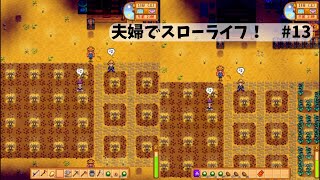 【Switch版 分割プレイ】夫婦でスローライフ！3年目春、家を拡張しよう！ #12【Stardew valley スタデューバレー】