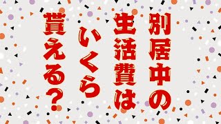 別居中の生活費はいくらもらえる？