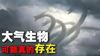 科學家花69小時解剖神秘大氣生物，「龍」可能真的存在！【地球探險隊】