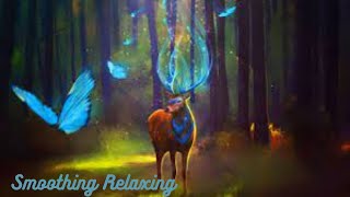 Enchanted Forest Music (528Hz) : Brings Positive Transformation | Mystical Forest Sounds