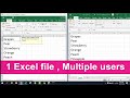 Make 1 Excel file allow Multiple Users at the same time | NETVN