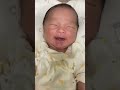 生後0日～6ヶ月迄！癒しの寝顔ショット📸 羽海くん 0歳児 男の子 乳児 新生児 baby 寝顔 赤ちゃんのいる生活 癒し babyshorts 可愛い 赤ちゃんのいる暮らし