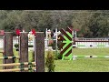 renkum corsair cci 4* s 2024 carolina int l cci u0026 horse trials