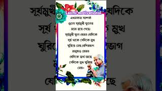 এখনকার সম্পর্ক গুলি সুর্য মুখি🌻🌿🌻 ফুলের মতো হয় #inspirationalquotes #banglaquotes #2024 #shorts#vir