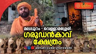 ഗരുഡൻ കാവ് : ലോകത്തിലെ ഒരേ ഒരു ഗരുഡ ക്ഷേത്രം 🙏. എല്ലാവിധ ദോഷങ്ങൾ മാറ്റാൻ ഏറ്റവും ഉത്തമ സ്ഥലം 🙏