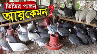 বাণিজ্যিক ভাবে তিতির মুরগি পালন | তিতির পালন পদ্ধতি ও আয় ব্যয় | Guinea fowl farming in bangladesh