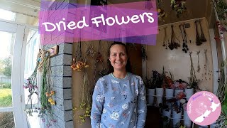 Flowers for drying