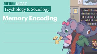 Memory Encoding (Psychology/Sociology) | Sketchy MCAT