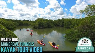 Mangrove Tunnels Kayak Tour - Paddle Marco