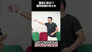 護身に役立つ 急所攻撃のまとめ【誰でもできる護身術】