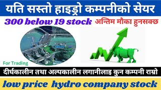 अझै पनि यति सस्तो सेयर/ low price hydro company stock/ short turm to mid turm invest/ shree tech