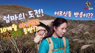 엄마의 도전! 10개월 아기업고 제주 오름 등반 했더니, 어르신들 반응이?  Mom’s Challenge! Hiking Jeju Oreum with 10-Month-Old Baby