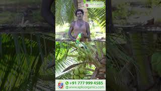 [ Malayalam ] Coconut Online Farmer Mr.Kaathalingam giving feedback about our Cocomax result