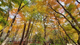 Stone church At Karuizawa 石の教会 内村鑑三記念堂