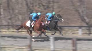 シュティルヴァルト _20170425