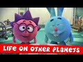 PinCode | Best episodes about Life on different Planets. | Cartoons for Kids