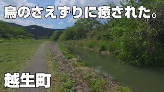 【小物釣り】鳥のさえずりに癒された！魚は…。【ウグイス】