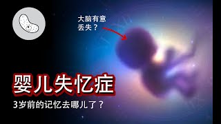 【失落的记忆】3岁前的记忆去哪儿了？大脑有意丢失？【灰细胞】#科普 #医学科普 #灰细胞