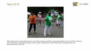 OpenStax Lifespan Development Chapter 16 (Lecture): Social & Emotional Development in Late Adulthood