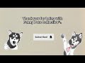 funniest husky compilation normal dogs vs huskies husky such a drama queen funniest dogs ever