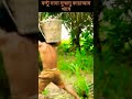 বল্টু দাদা সুস্বাদু কাচাআম খাবে youtube subscribe shorts viral