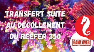 Décollement du Reefer - Transfert de bac