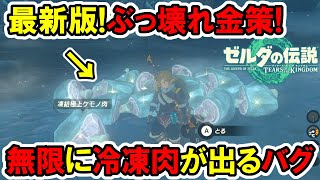 【ティアキン】ぶっ壊れ金策！無限に冷凍肉が出てくるバグ！お金稼ぎ【ゼルダの伝説】