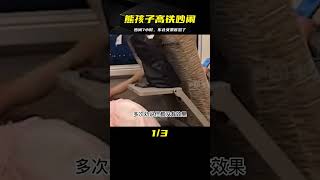 熊孩子高鐵吵鬧7小時，列車長都沒辦法，不料惹怒暴躁東北女乘客 #案件調查 #懸案密碼 #懸案破解 #懸案調查 #大案