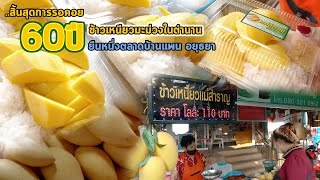 ข้าวเหนียวมะม่วงในตำนาน60ปี ตลาดบ้านแพน อยุธยา