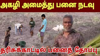 அகழி அமைத்து மானாவாரி தரிசுக்காட்டில் பனை தோப்பு உருவாக்கம்