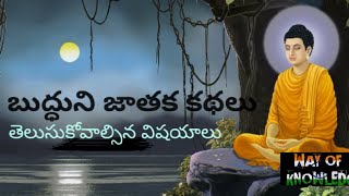 గౌతమ బుద్ధుని జాతక కథలు | The Kathala Stories of Gautham Budda | Way of Knowledge