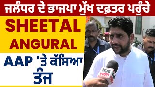 Exclusive: ਜਲੰਧਰ ਦੇ ਭਾਜਪਾ ਮੁੱਖ ਦਫ਼ਤਰ ਪਹੁੰਚੇ Sheetal Angural, AAP 'ਤੇ ਕੱਸਿਆ ਤੰਜ