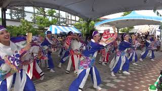 よさこい塾・ありがた屋（すずフェス2023）ハンター会場①