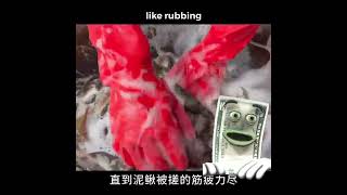 fiveish explains how to make money cooking niqiu