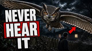 The Secret Reason You NEVER Hear an Owl Coming (A SILENT PROTOCOL Built Into Its Body)