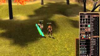 Metin2Royal PVP 2# + Prezentare iteme !