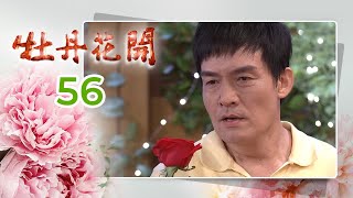 牡丹花開 Peony In Bloom EP.056