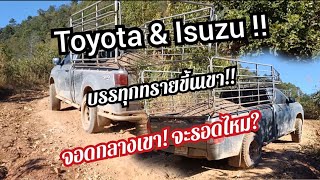 toyota \u0026 isuzu บรรทุกทรายขึ้นเขา!! #isuzu #toyota #บรรทุก #ภูเขา #ขนทราย #ทางชัน #ขึ้นดอย #4X4