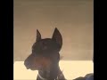 Ace the Doberman cool watches Nixon the Doberman