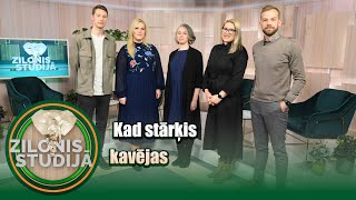 Kad stārķis kavējas | Zilonis Studijā S02E13