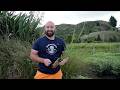 3 Common Native Planting Mistakes (And How to Avoid Them)