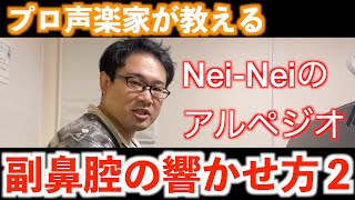 【発声】副鼻腔の響かせ方２「Nei-Neiアルペジオ」【プロ声楽家が教える】